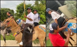 En el municipio de Sabanas de San Ángel, en el departamento del Magdalena, pintaron a varios caballos con la palabra "Fico" para un evento alusivo a la campaña presidencial de Federico Gutiérrez.