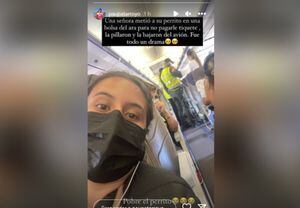 Mujer intentó esconder a su perro en una bolsa para no pagarle tiquete y la bajaron del avión