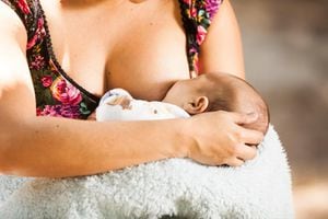 La lactancia materna debe ser exclusiva en los primeros seis meses de vida de los bebés.