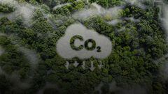 Colombia, comprometida con la carbono neutralidad