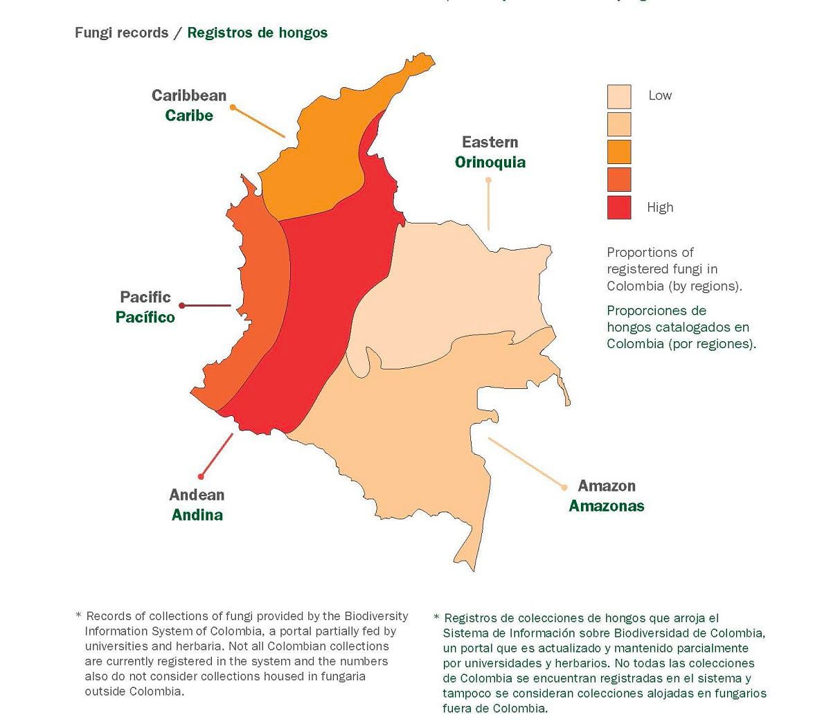 Portal con información de hongos en Colombia