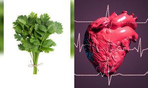 El cilantro y su efecto en el corazón.