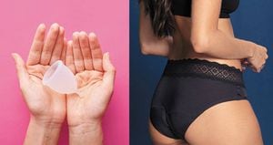 Las copas menstruales y los panties para el periodo son las dos opciones con las que la industria está atendiendo las demandas sostenibles de sus clientes.