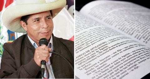 Según los hallazgos de los medios de comunicación, cerca del 54 por ciento de la tesis de maestría de Pedro Castillo habría sido plagiada, algo que el presidente peruano ha negado. Pero, mientras prosigue la investigación, su mandato sigue siendo tremendamente impopular.