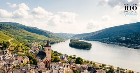 El Rin, la vía fluvial más utilizada de la Unión Europea, con una longitud de 1.230 kilómetros, se estaba quedando sin oxígeno.