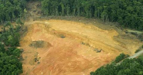 La deforestación no es el principal motivo por el que se daña la superficie del bosque tropical sudamericano, sino que es la degradación.