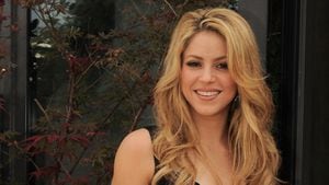 MILAN, ITALY - OCTOBER 01:  Singer Shakira attends photocall for the launch of her new CD "She Wolf" at the Park Hotel Hyatt on October 1, 2009 in Milan, Italy.  (Photo by Morena Brengola/Getty Images)