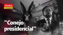 El Control a Gustavo Petro y a un "conejo presidencial gordo y peludo".