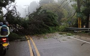 La caída de un árbol en la vía la calera tiene bloqueado el paso de cientos de conductores