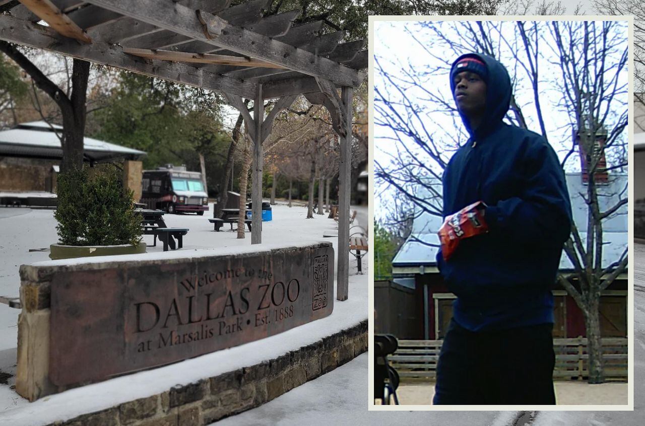 Detienen al sospechoso de robar monos y algunos de los “extraños” sucesos  del zoológico de Dallas