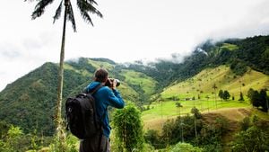 Turista tomando fotografías en el hermoso Valle de Cocora ubicado en Salento en la región de Quindío en Colombia