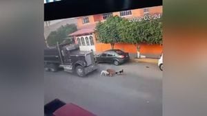El momento en el que un camionero arrolla intencionalmente a cinco perros en México