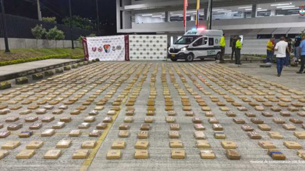 Detienen a conductor de camión que transportaba 800 kilos de marihuana con destino a Brasil