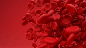 La anemia puede ser temporal o prolongada y puede variar de leve a grave.