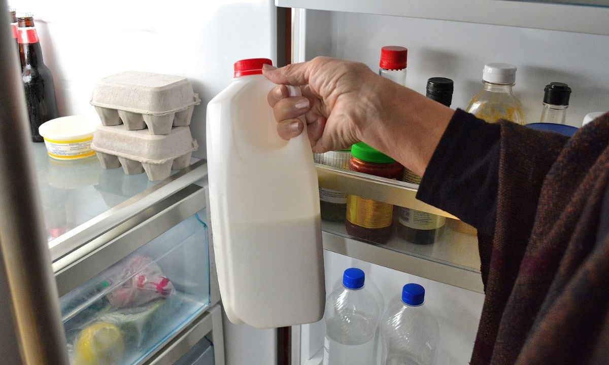Tiempo que puede pasar la leche sin refrigerar.