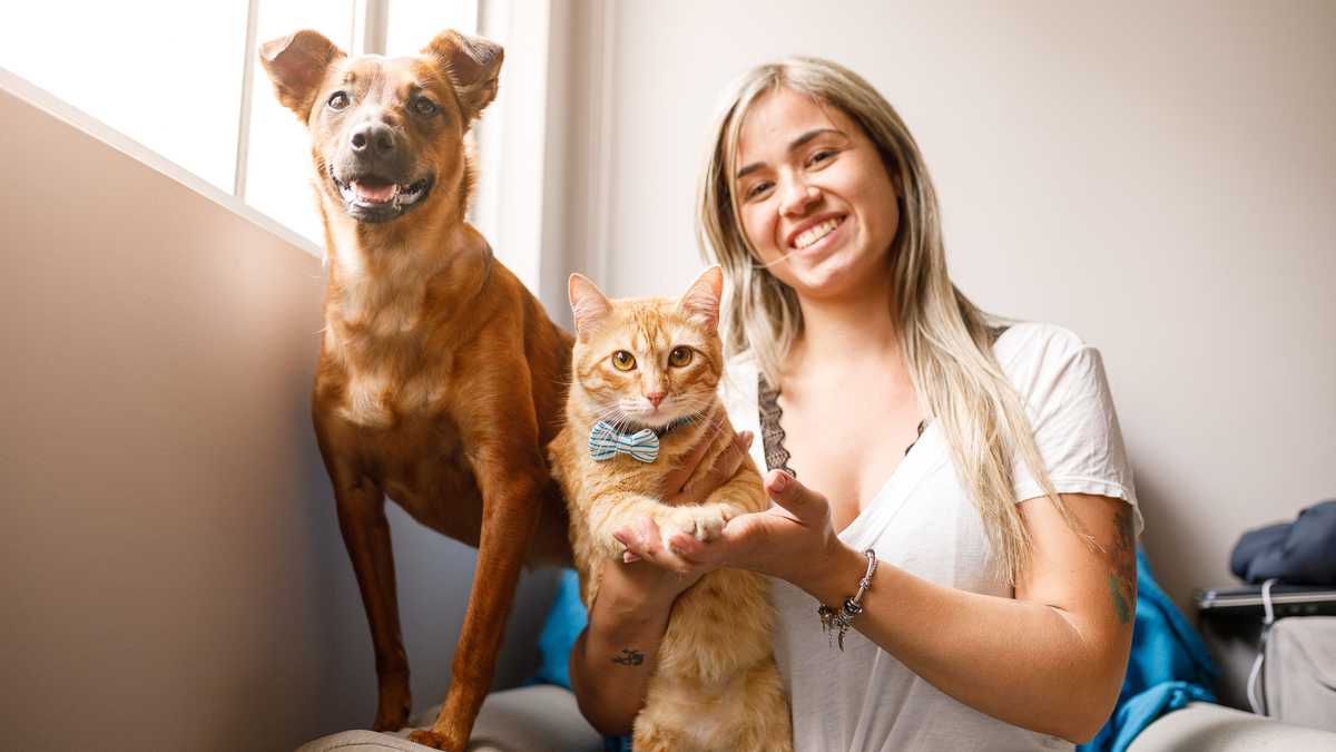 Adopción perros y gatos
