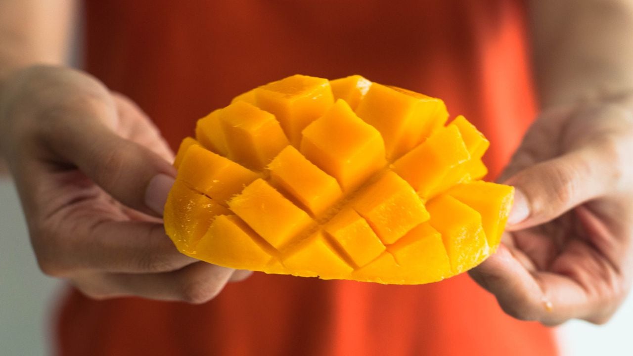 El mango posee gran cantidad de nutrientes, además de un sabor único, fragancia, gusto y grandes beneficios para el ser humano.