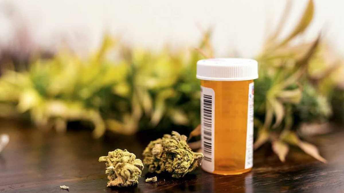 Medcann acaba de obtener un cupo para fabricar derivados de cannabis para exportación