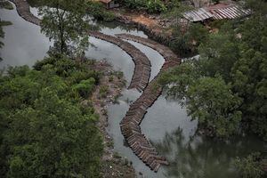 OPERATIVO DE LA POLICIA NACIONAL PARA MITIGAR EL TRAFICO DE MADERA EN BUENAVENTURA