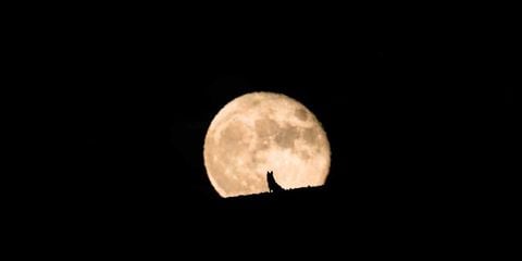 En enero habrá una Luna llena llamada 'Luna de Lobo'.