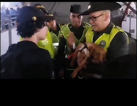 Policía Ambiental Cali rescató perro que quedó atrapado en la Terminal