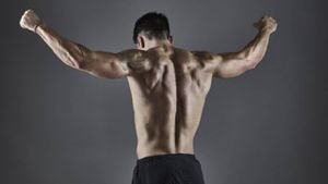 Es importante destacar que los músculos de la espalda le dan soporte a la columna vertebral. Foto: Getty images