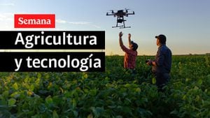 ¿Cómo potenciar la innovación tecnológica en el campo colombiano?