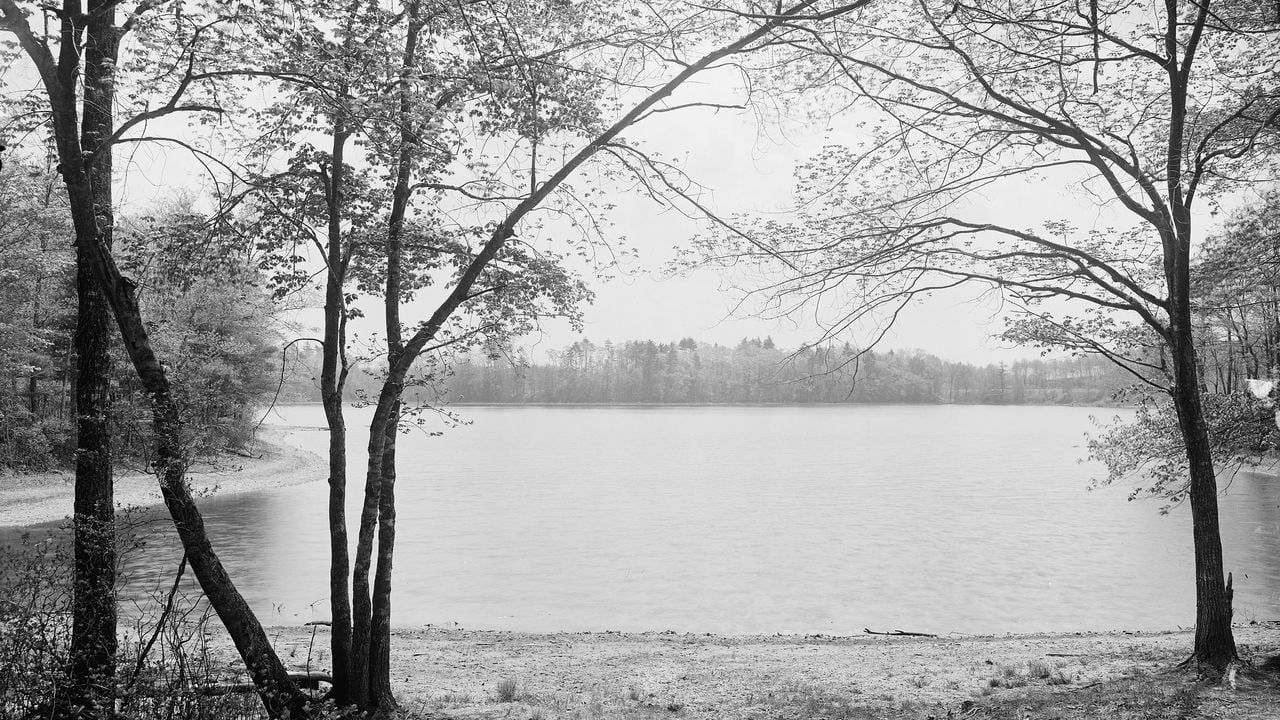 Vista de la laguna Walden, en Massachusetts, Estados Unidos. Wikimedia Commons