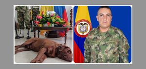 El soldado Andrés Vargas falleció y Rocki, su perro nunca se separó de él