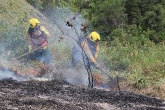 Incendio forestal en cerros de Cali ha dejado más de 330 hectáreas afectadas.
