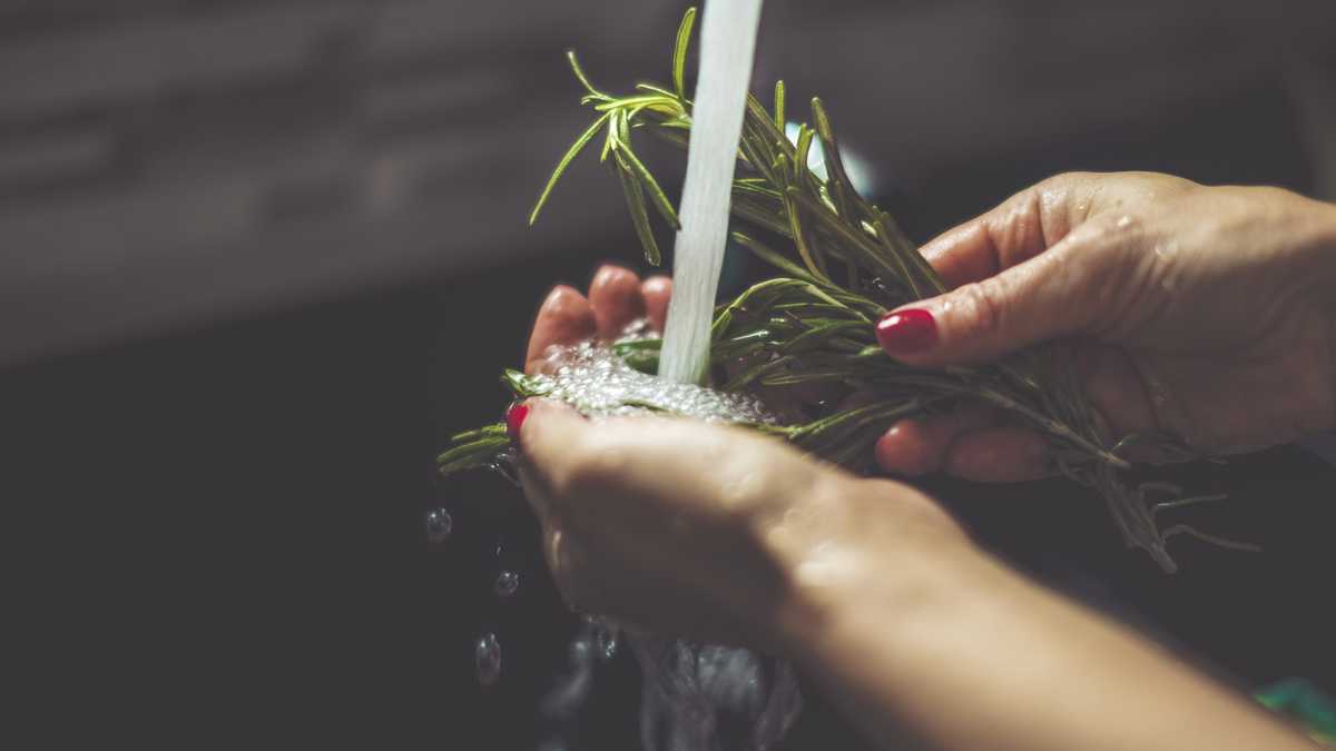 Rosemary water a natural alternative for hair care
