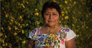 Leydy Pech está rodeada de la flor de tajonal, fuente de nectar y polen para las abejas e insectos polinizadores de la región. A través de la conservación de apicultura tradicional maya, Leydy lucha contra empresas trasnacionales y por el respeto de los derechos de la mujer maya, por un medio ambiente sano. Foto: Robin Canul.