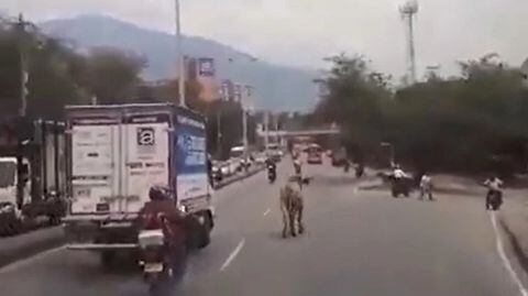 Accidente en la autopista Norte de Medellín.