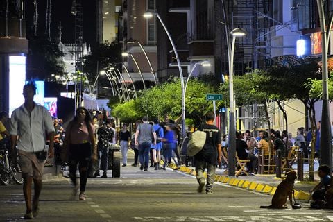Lo que más afecta en el Bulevar del Río son los comportamientos contrarios a la convivencia, indicó la Subsecretaria de Política de Seguridad de Cali. Foto Jorge Orozo / El País