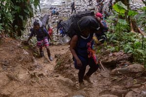 DARIEN, PANAMA - OCTOBER 15: 500 Darien, Panamá - Crisis de migrantes. Haitianos cruzan peligrosamente la frontera entre Panamá y Colombia.