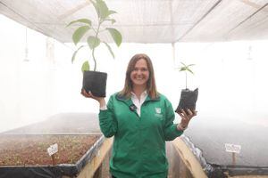 La secretaria de Ambiente, Carolina Urrutia inauguró el vivero. Algunos de los árboles a producir son: arboloco, corono, cajeto, roble, espino garbanzo, tuno esmeraldo, mano de oso, cerezo, alcaparro, laurel de hoja grande, arrayán blanco, entre otros.