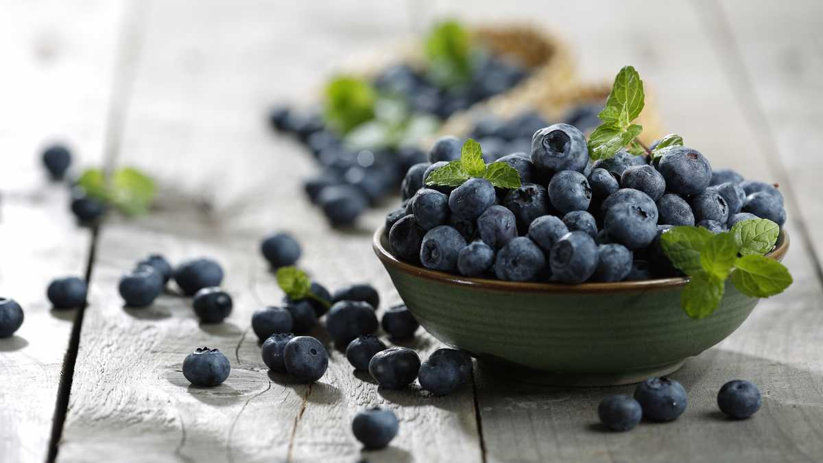 Blueberries: These are their antioxidant and antibacterial properties
