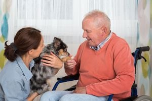 La terapia con animales es ideal para las personas adultas.