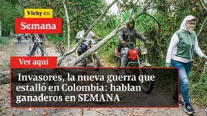 Invasores, la nueva guerra que estalló en Colombia: hablan ganaderos en SEMANA