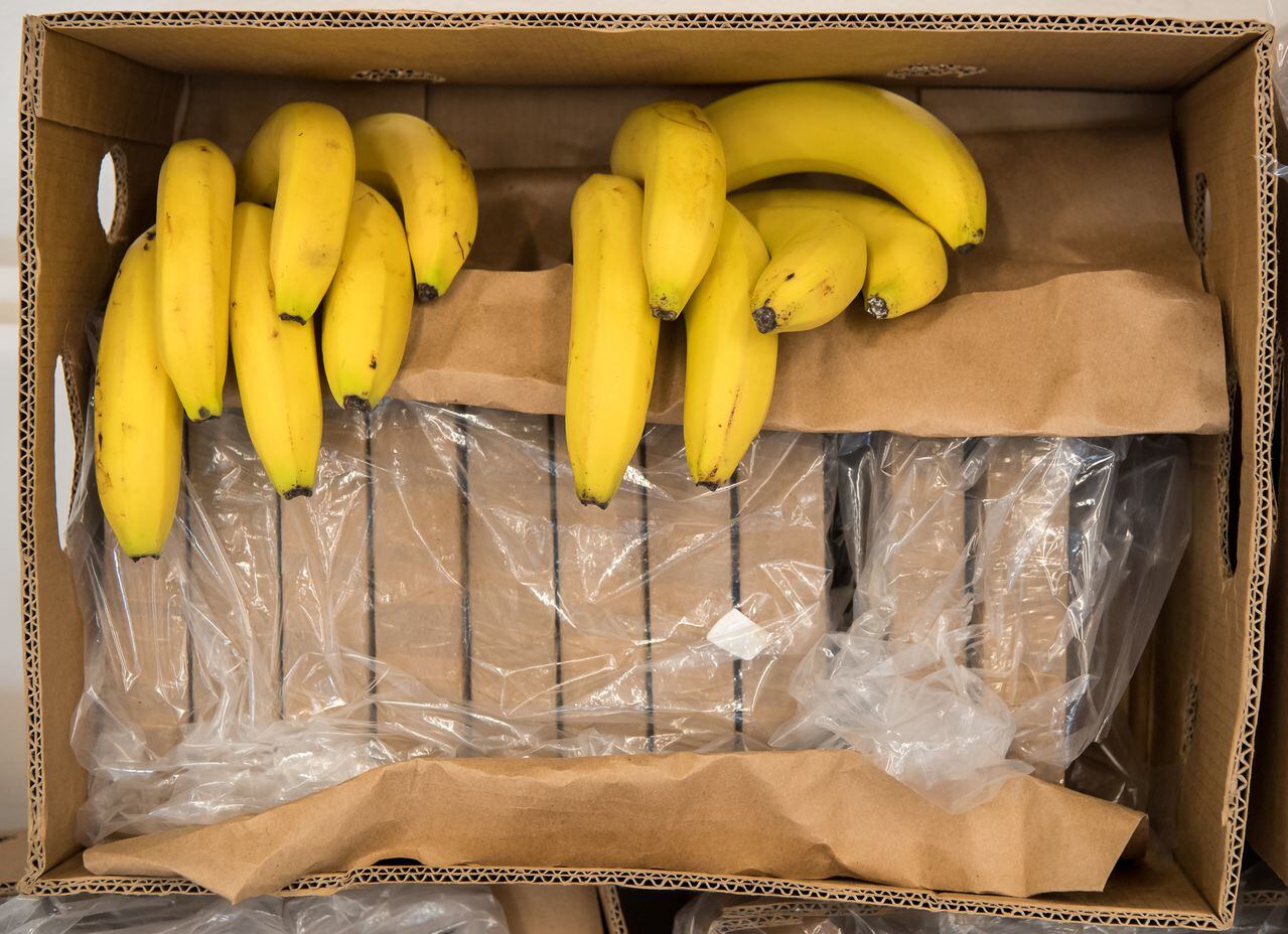 Bananos con carga de cocaína. Foto de Peter Kneffel/picture alliance via Getty Images