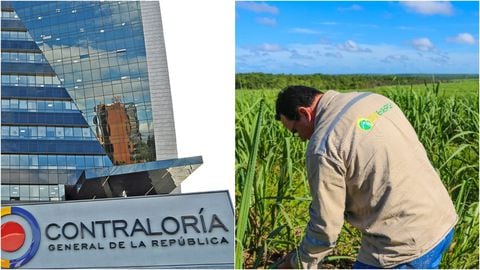 Contraloría emite fallo por $56.000 millones tras pérdida de recursos en proyecto de producción de etanol de Bioenergy, filial de Ecopetrol