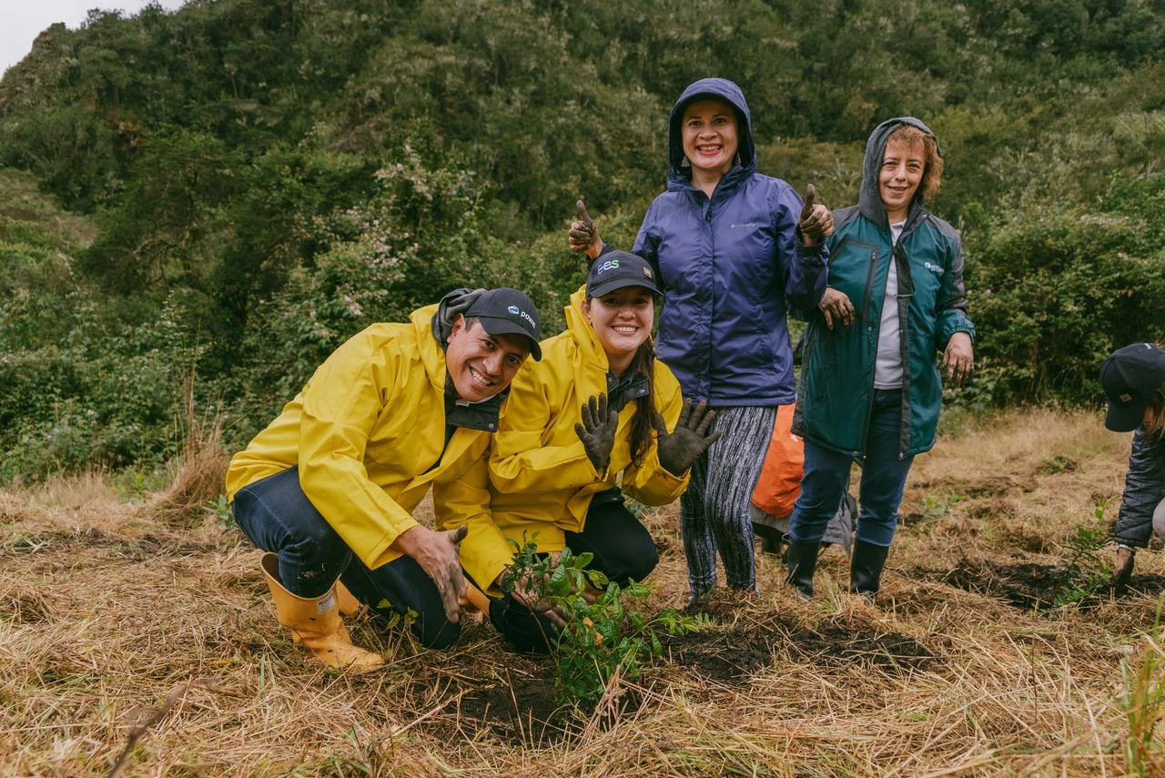 Trabajadores de AES Colombia cuidando ecosistemas del Valle de tenza junto a las comunidades.