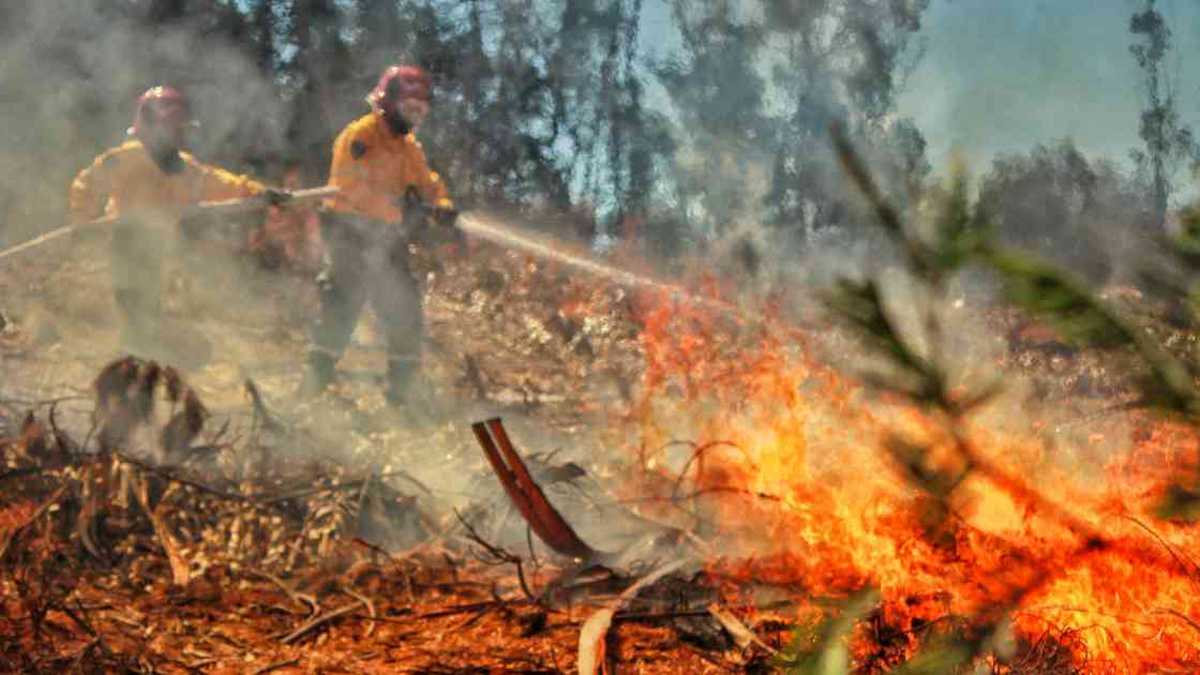 En la primera temporada seca de este año se registraron más de 800 incendios en diferentes regiones del país.  Foto: Dirección Nacional de Bomberos. 
