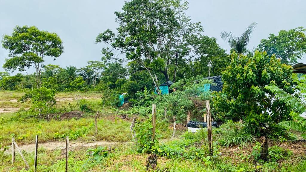 Grave denuncia del gobernador del Amazonas: el denominado “asentamiento Gustavo Petro” está frenando la construcción de un hospital en Leticia