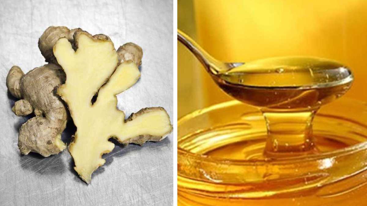 La infusión de jengibre y miel es conocida por tratar resfriados y los problemas en el sistema digestivo. Foto: Getty Images. Montaje SEMANA.