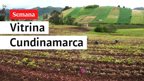 Agricultura y artesanías: un motor de la reactivación económica en Cundinamarca