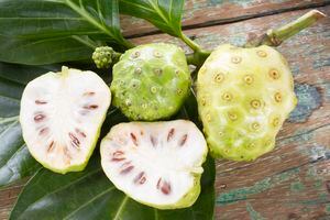 La fruta noni cuyo nombre científico es Morinda citrifolia es originaria del Sudeste de Asía, Indonesia y Polinesia