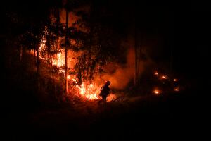 Boric dijo en Twitter que seguía trabajando "para enfrentar los incendios forestales y apoyar a las familias".