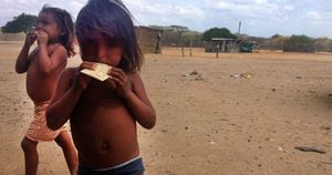En La Guajira hay 37.000 niños desnutridos, reportó la Defensoría del Pueblo el pasado mes de julio.