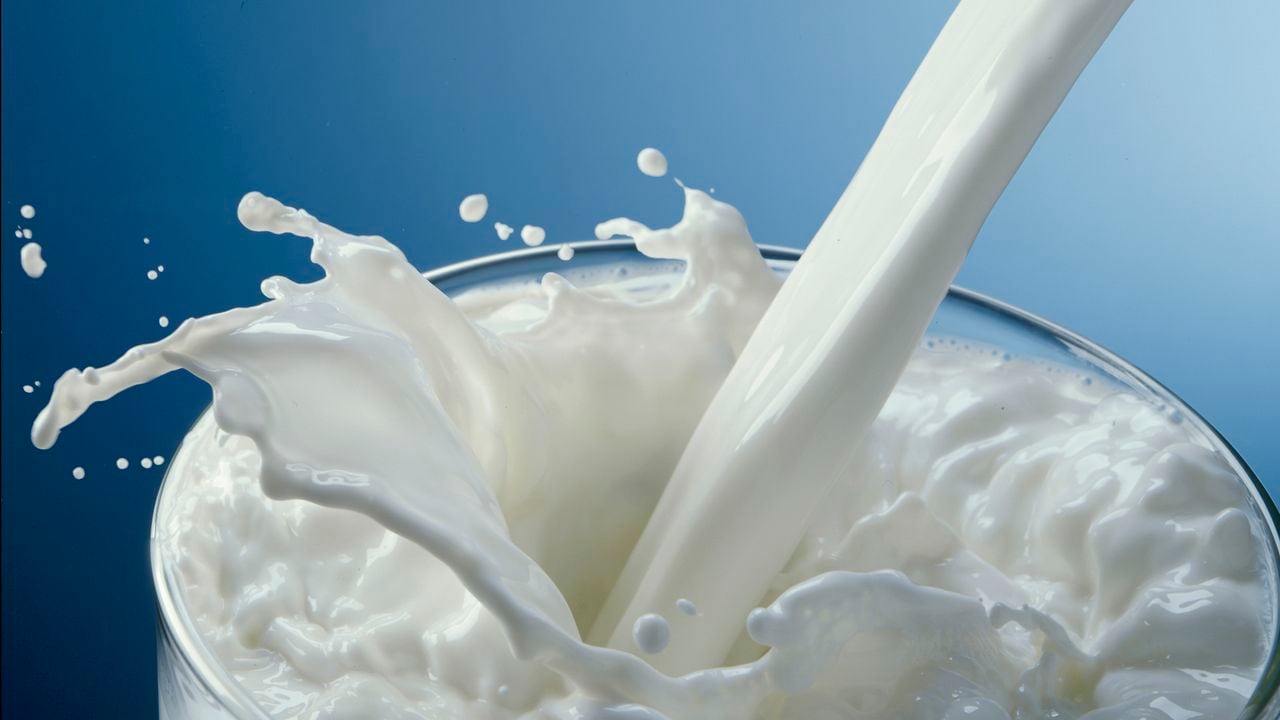Foto de referencia sobre leche